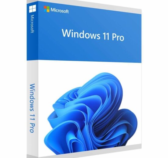 Windows 11 Professional